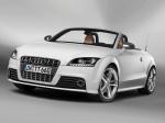 Audi TTS Roadster 2008 года (WW)